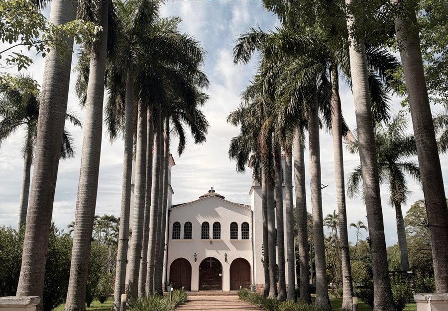 Iglesia Virgen del Loreto, Luque, con su avenida de palmeras